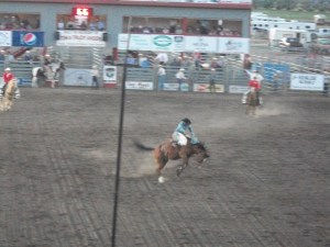 Saddle Bronc
