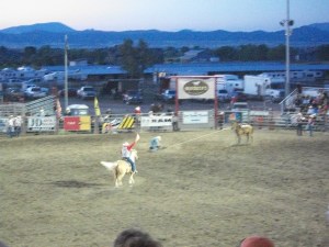 Calf Roping