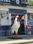Patriotic Chicken