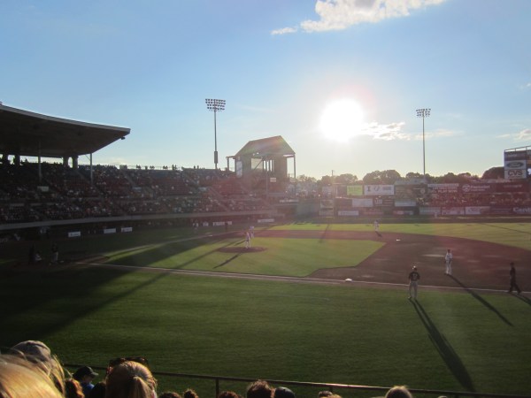 Paw Sox in the Gloaming