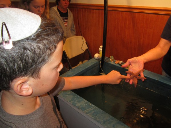 At the Bar Harbor Oceanarium and Lobster Hatchery, we got to touch some odd sea creatures, including a sea cucumber, a scallop, and this sea star