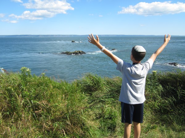 I'm Yertle, the ruler of all that I see!