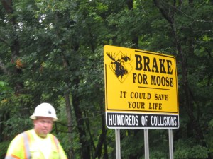 Brake for moose