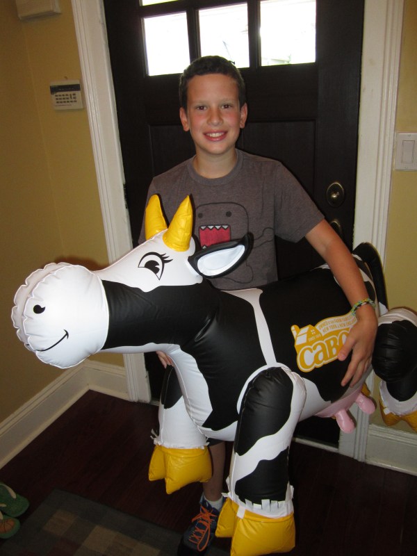 A boy and his cow