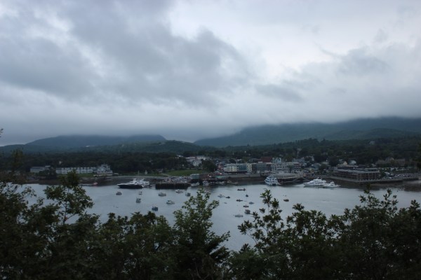 A one-mile hike to the highest point on Bar Island yielded a pretty great view.