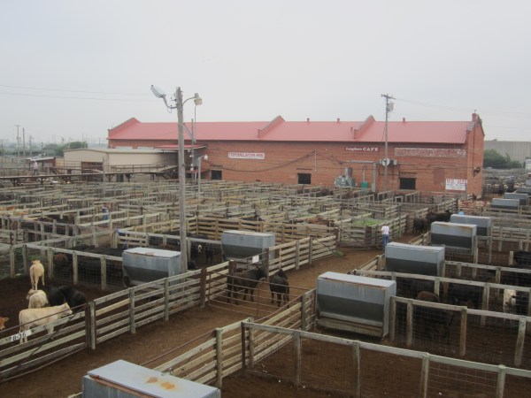 Stockyards Auction Arena