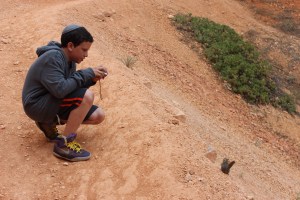 The Hamster and the Chipmunk