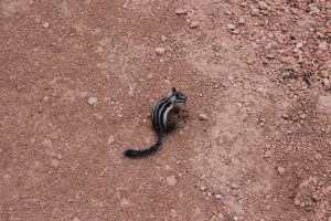 Bryce Canyon National Park