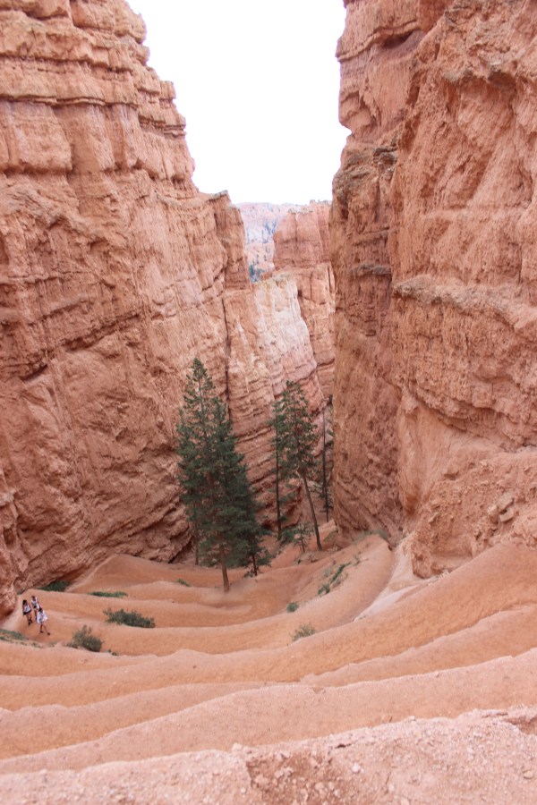 Yeah, we climbed this. Look how small the people are who are only halfway up.