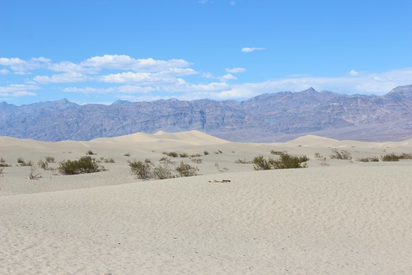 Mesquite Sand Dunes