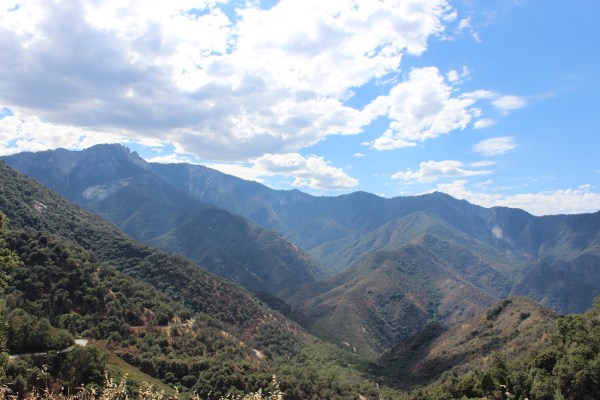 Sequoia National Park