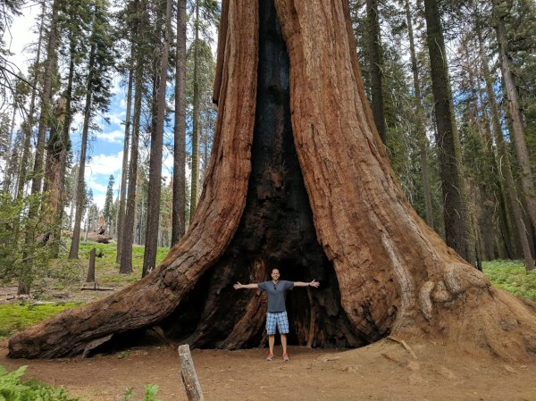 Sequoia National Park